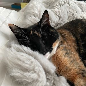 Meet your Posher, Grace